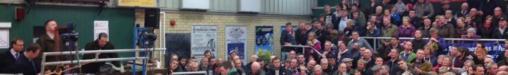 Hopes Auctioneers Wigton