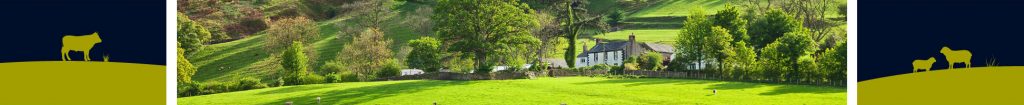 Hopes Auctioneers Wigton