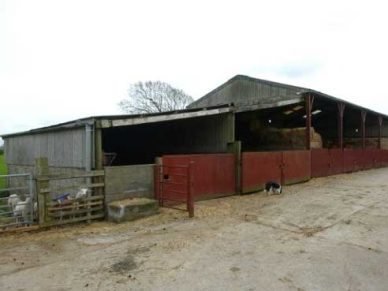 CALVO STUD FARM, CALVO, SILLOTH, CUMBRIA, CA7 4PJ