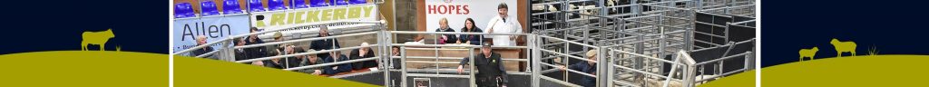 Hopes Auctioneers Wigton