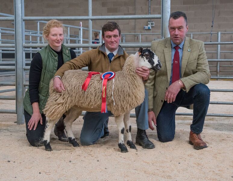 Hopes Auctioneers Wigton