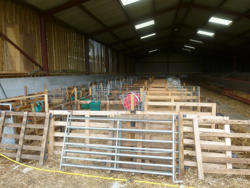 Hopes Auctioneers Wigton