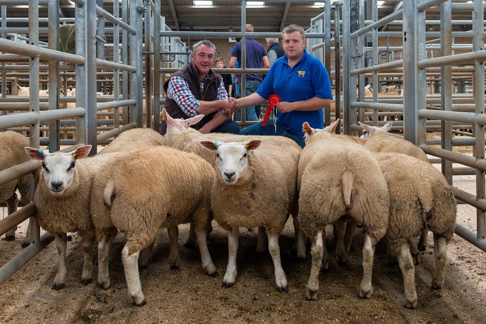 Hopes Auctioneers Wigton