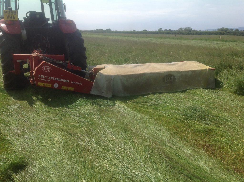 Hopes Auctioneers Wigton