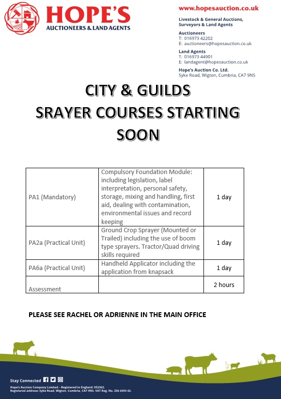 Hopes Auctioneers Wigton