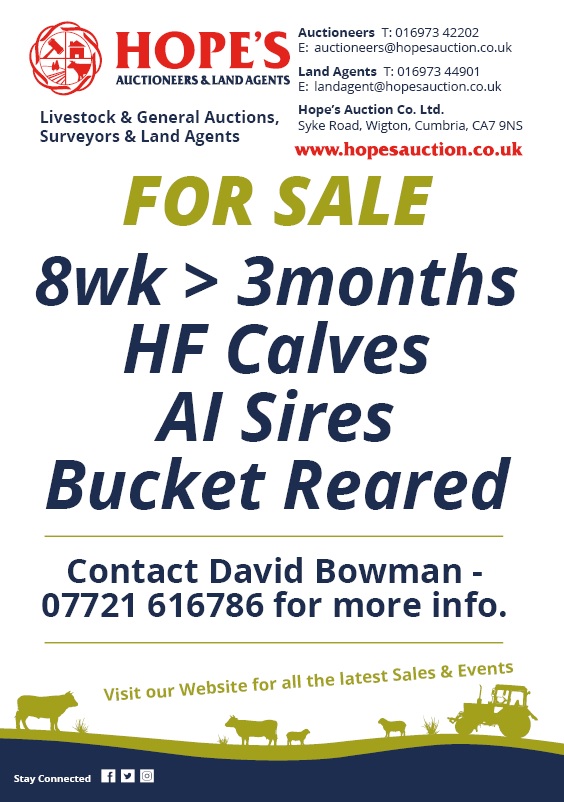 Hopes Auctioneers Wigton