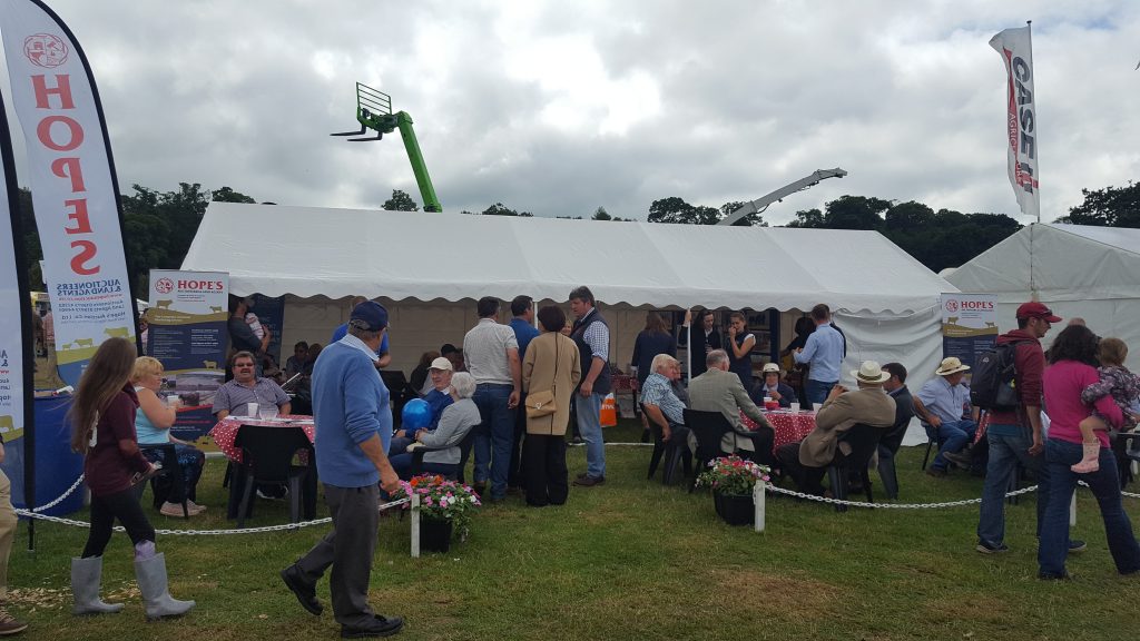 Hopes Auctioneers Wigton