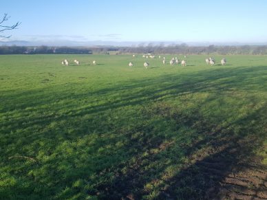 LAND NEAR ALLONBY, MARYPORT, CUMBRIA