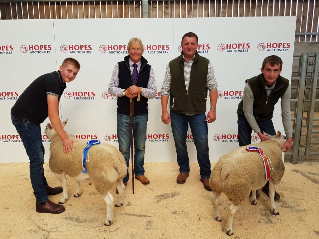 Hopes Auctioneers Wigton