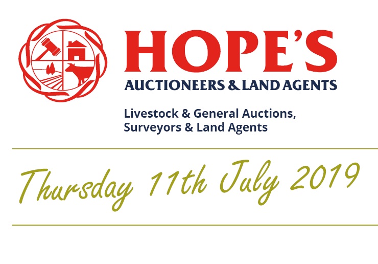 Hopes Auctioneers Wigton