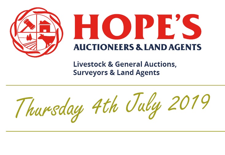 Hopes Auctioneers Wigton