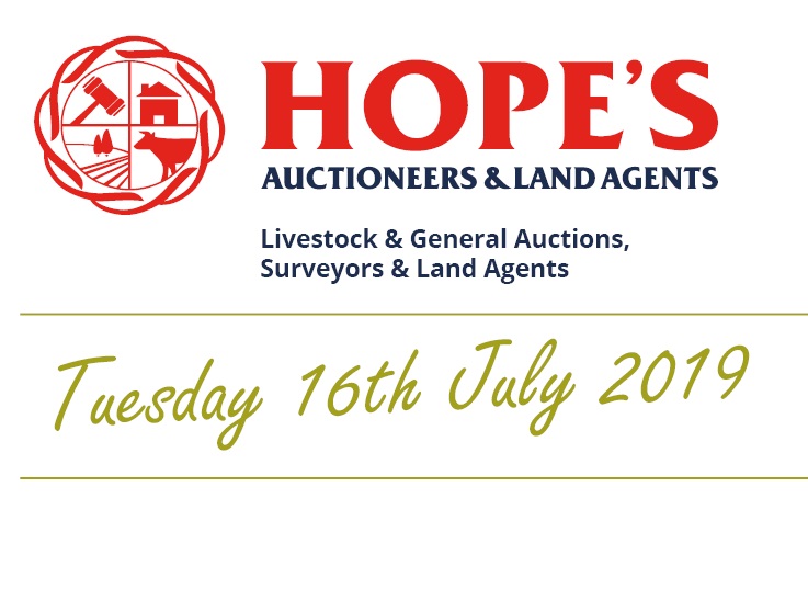 Hopes Auctioneers Wigton