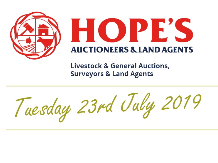 Hopes Auctioneers Wigton