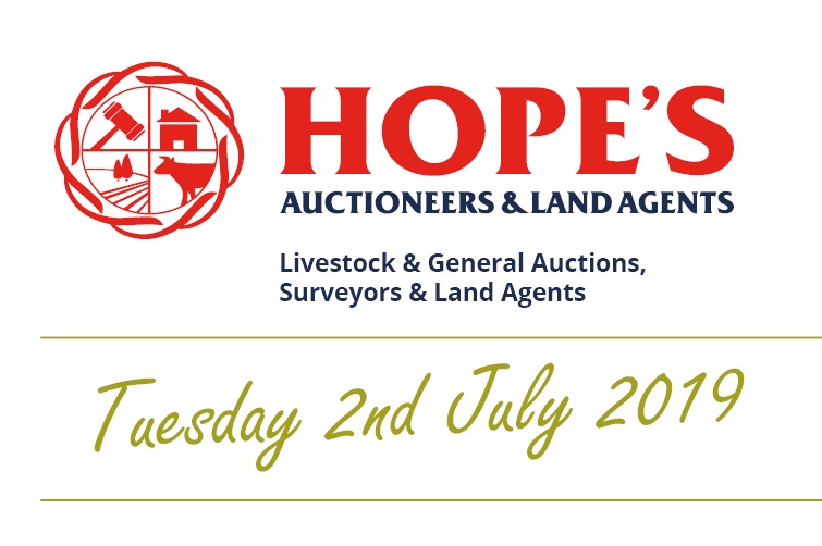 Hopes Auctioneers Wigton