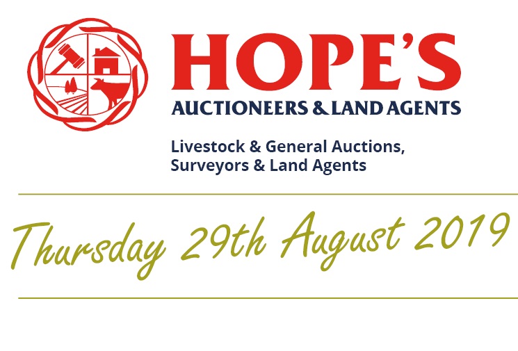 Hopes Auctioneers Wigton