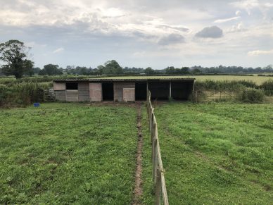 STABLE BLOCK AND PADDOCK, CARGO, NEAR CARLISLE