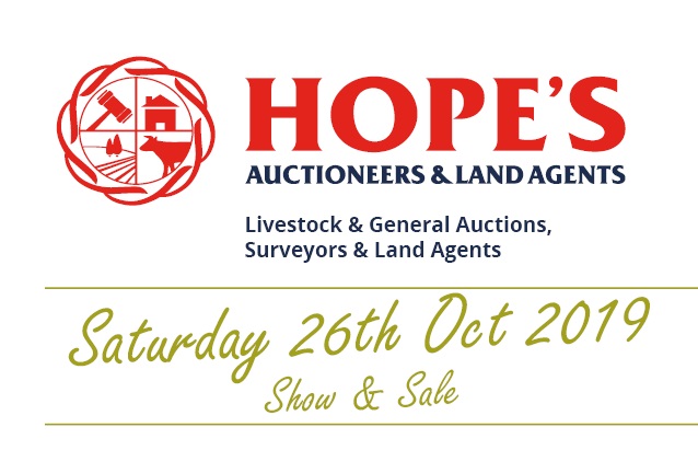Hopes Auctioneers Wigton
