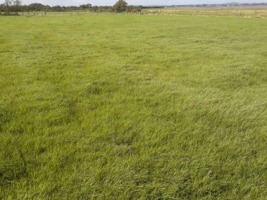 LAND NEAR BOWNESS ON SOLWAY