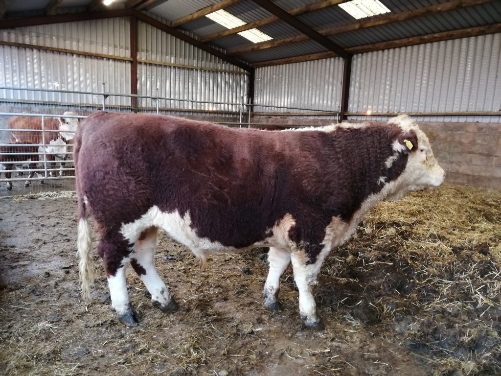 Hopes Auctioneers Wigton