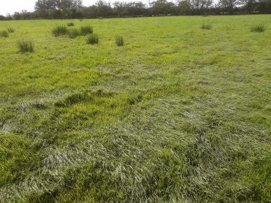 LAND NEAR BOWNESS ON SOLWAY