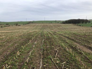 LAND NEAR PLUMPTON, PENRITH, CUMBRIA