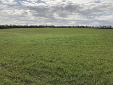 LAND AT WHEYRIGG HOUSE, WHEYRIGG, WIGTON