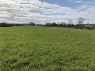 LAND AT WHEYRIGG HOUSE, WHEYRIGG, WIGTON