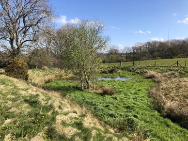 LAND NEAR THORNTHWAITE, WIGTON, CUMBRIA