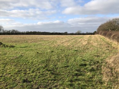 LAND NEAR HOSKET HILL, KIRKANDREWS-ON-EDEN, CARLISLE, CUMBRIA – OFFERS TO BE RECEIVED BY 12 NOON ON WEDNESDAY 24TH JUNE, 2020