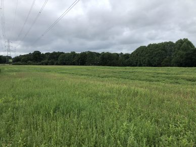 LAND OFF BROOMFALLEN ROAD, SCOTBY, CARLISLE, CUMBRIA – OFFERS TO BE RECEIVED BY 12 NOON ON WEDNESDAY 12TH AUGUST, 2020