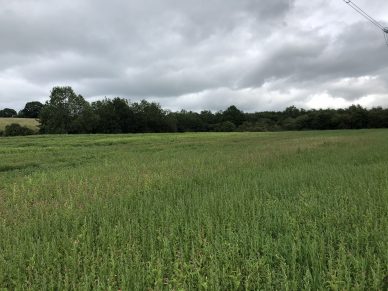 LAND OFF BROOMFALLEN ROAD, SCOTBY, CARLISLE, CUMBRIA – OFFERS TO BE RECEIVED BY 12 NOON ON WEDNESDAY 12TH AUGUST, 2020