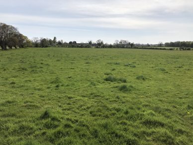 LAND AT TARRABY, CARLISLE, CUMBRIA – OFFERS TO BE RECEIVED BY 12 NOON ON WEDNESDAY 12TH AUGUST, 2020