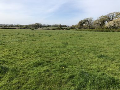 LAND AT TARRABY, CARLISLE, CUMBRIA – OFFERS TO BE RECEIVED BY 12 NOON ON WEDNESDAY 12TH AUGUST, 2020