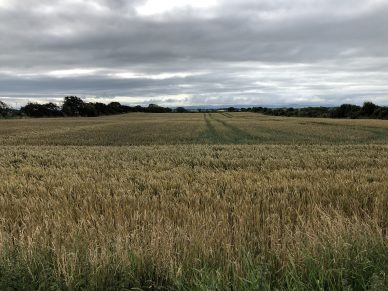 LAND AT BLITTERLEES, SILLOTH, CUMBRIA