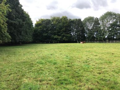 LAND AT THE GOLDEN FLEECE, CARLETON, CARLISLE, CUMBRIA, CA4 0AN