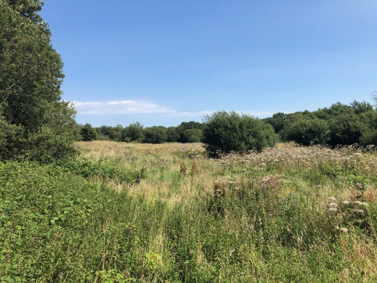 Land and Farms For Sale in Cumbria Hope's Land Agency Wigton