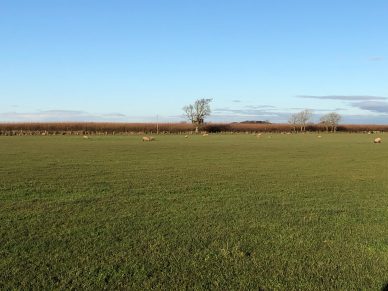 LAND AT WAMPOOL, KIRKBRIDE, WIGTON, CUMBRIA