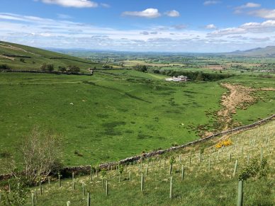 LAND AT ROOKBY SCARTH, WINTON, KIRKBY STEPHEN, CA17 4HU