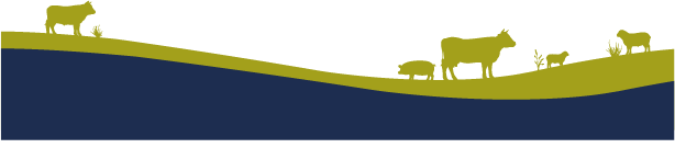 Hopes Auctioneers Wigton