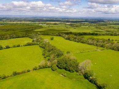 HAZEL GILL FARM, WELTON, CARLISLE, CUMBRIA, CA5 7HJ