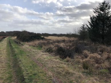 7.14ACRES OF SSSI PEAT MOSS