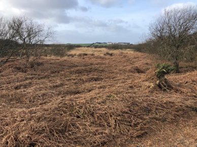 7.14ACRES OF SSSI PEAT MOSS