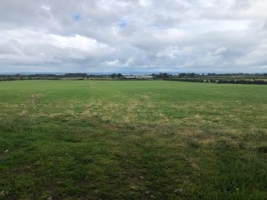 LAND TO LET AT AIKTON, WIGTON ON A 5 YEAR FARM BUSINESS TENANCY