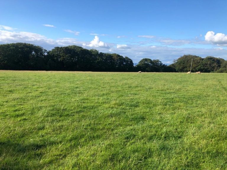 Property For Sale Hopes Auctioneers Wigton