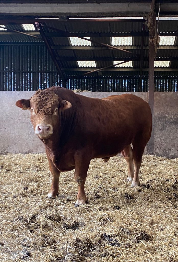 Hopes Auctioneers Wigton