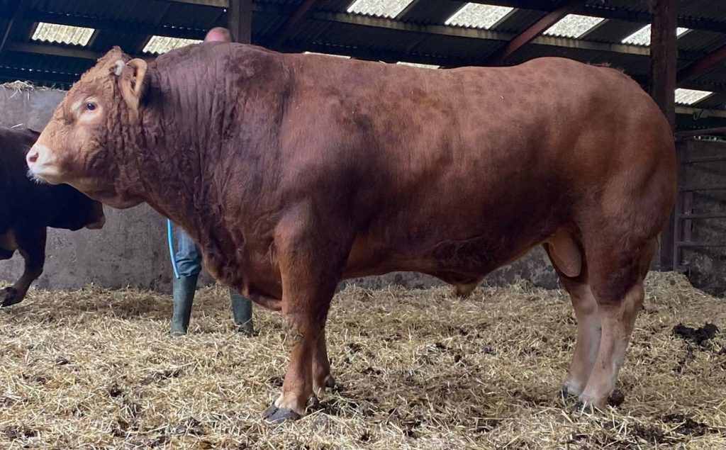 Hopes Auctioneers Wigton