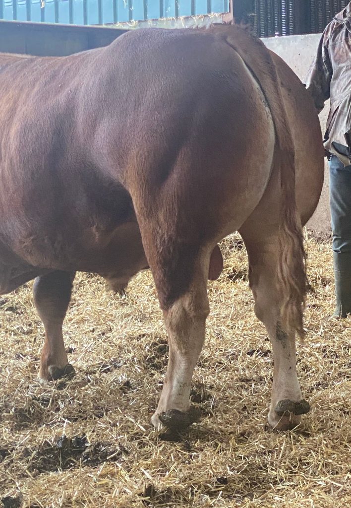 Hopes Auctioneers Wigton