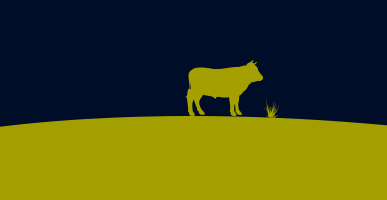 Hopes Auctioneers Wigton