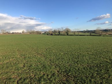 FOR TENDER – 5 YEAR FARM BUSINESS TENANCY – 28.27 ACRES (11.45HA) OF GRAZING, MOWING AND ARABLE LAND NEAR AIKTON, WIGTON