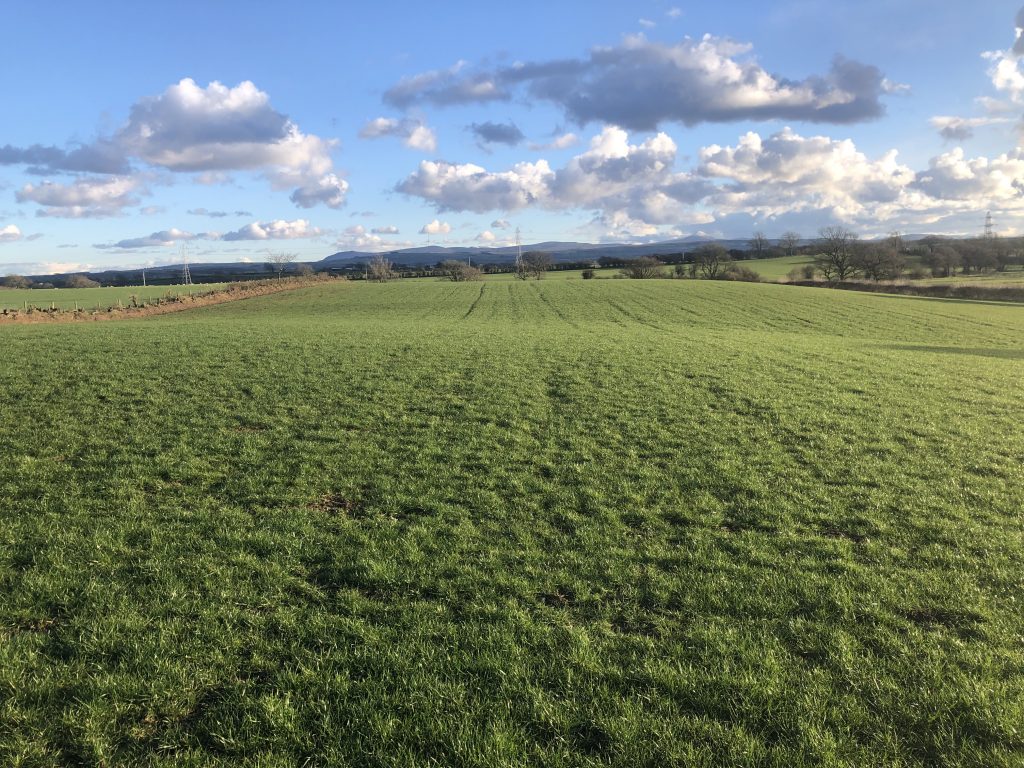 Hopes Auctioneers Wigton